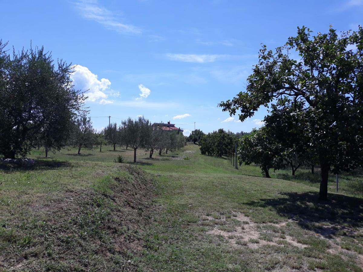 House Barizoni Villa Ankaran Buitenkant foto