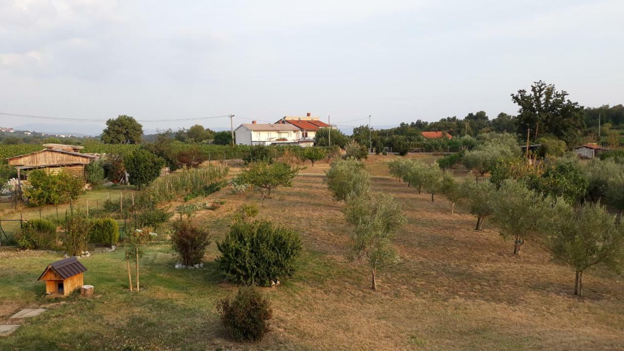 House Barizoni Villa Ankaran Buitenkant foto